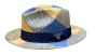 Bruno Capelo Men's Fedora Style Straw Hat - Two Tone Weave