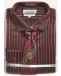 Avanti Uomo Men's Slim Fit Dress Shirt Set - Bold Stripe