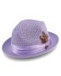 Montique Men's Fashion Straw Fedora Hat - Bold Feather