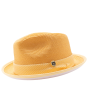 Montique Men's Fedora Style Straw Hat - Houndstooth