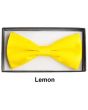 CCO Square End Bow Tie Set - Bold Colors