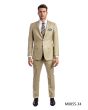 Tazio Men's 2 Piece Slim Fit Executive Suit - Bold Colors