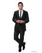 Tazio Men's 2pc Slim Fit Executive Suit - Satin Style