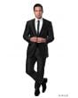 Tazio Men's Outlet 2pc Slim Fit Executive Suit - Satin Style