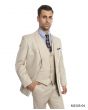 Tazio Men's 3 Piece Slim Fit Executive Suit - Classy Business