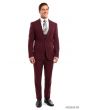 Tazio Men's Outlet 3 Piece Ultra Slim Fit Executive Suit - Classy Business