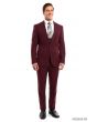 CCO Men's Outlet 3 Piece Ultra Slim Fit Executive Suit - Classy Business