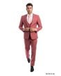 CCO Men's Outlet 3 Piece Ultra Slim Fit Executive Suit - Classy Business