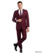 Tazio Men's 2 Piece Discount Slim Fit Suit - Solid Colors