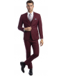 Sean Alexander Men's Outlet 3 Piece Skinny Fit Suit - Notch Lapel