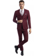 CCO Men's Outlet 3 Piece Skinny Fit Suit - Notch Lapel