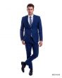 Tazio Men's 2 Piece Executive Suit - Bold Colors