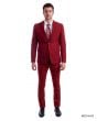 Tazio Men's 2 Piece Executive Suit - Bold Colors