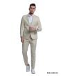 CCO Men's Outlet 2 Piece Skinny Fit Suit - Solid Color