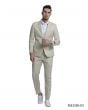 Tazio Men's 2 Piece Skinny Fit Suit - Solid Color