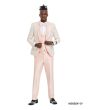 CCO Men's Outlet 3 Piece Skinny Fit Suit - Paisley