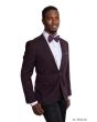 Tazio Men's Classic Fashion Slim Fit Sport Coat - Geometric Design