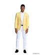 Tazio Men's Classic Fashion Sport Coat - Solid Vibrant Colors