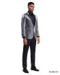 Tazio Men's Classic Fashion Sport Coat - Textured Shine