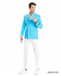 Tazio Men's Slim Fit Fashion Sport Coat - Vibrant Colors