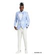 Tazio Men's Classic Fashion Sport Coat - Paisley Pattern