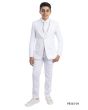 Perry Ellis Outlet Boy's 5 Piece Suit with Shirt & Tie - U Shaped Vest