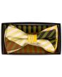 Karl Knox Men's Square End Bow Tie Set - Fashion Stripes