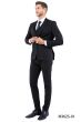 CCO Men's Outlet 3 Piece Slim Fit Suit - Solid Colors