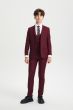 Stacy Adams Boy's 5 Piece Suit in Solid Colors - Varied Ties