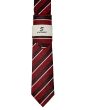 Statement Classic Tie Set- Varying Designs