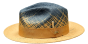 Bruno Capelo Men's Fedora Style Straw Hat - Gradient Colors